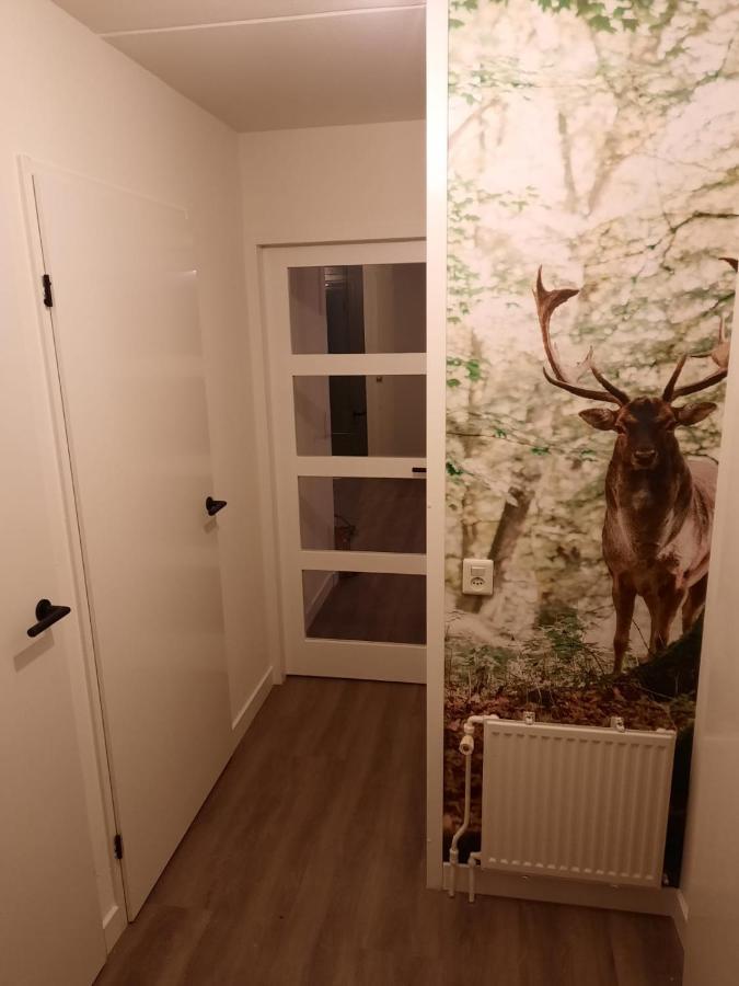 Heerlijke Vakantiewoning Ewijkヴィラ エクステリア 写真